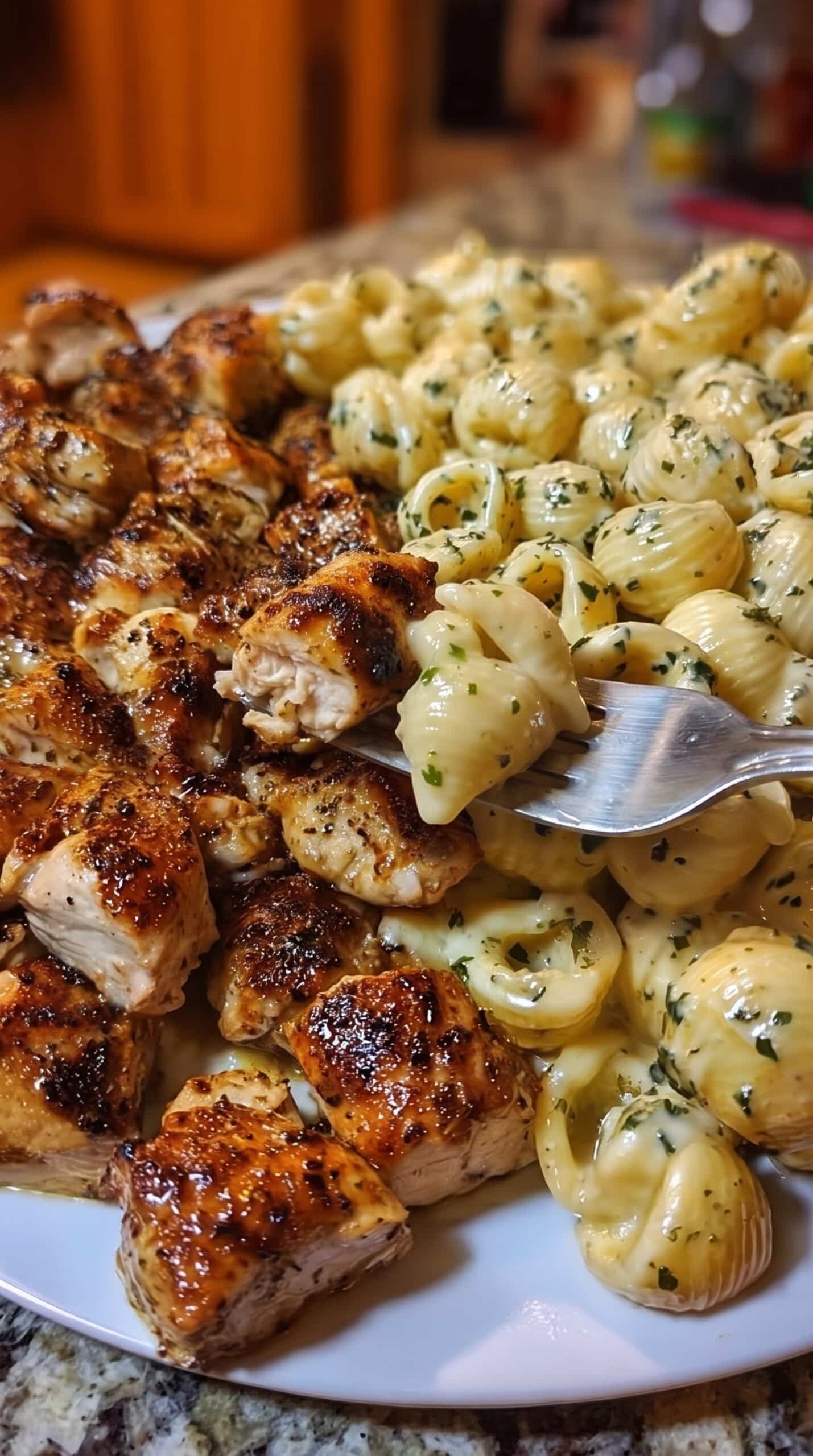 Garlic Butter Chicken Shell Pasta in Creamy Four-Cheese Sauce
